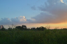 郊野晚霞与草地