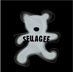 图文结合印花图案 动物熊