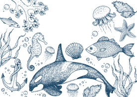 海洋生物矢量元素