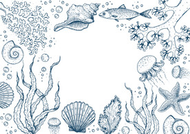 海洋生物矢量图