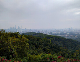 山坡及城市楼宇