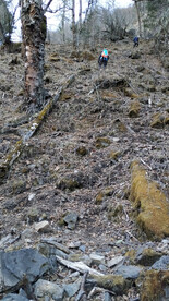 山坡上的登山者