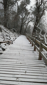 雪景和木桥