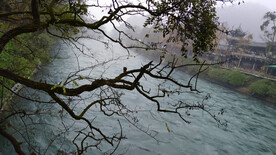 都江堰江景