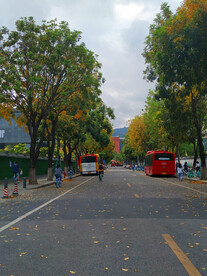 城市街景和公交车