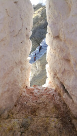 布达拉宫上的游客