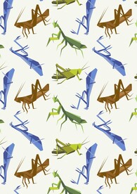 童年回忆蚱蜢螳螂儿时乐趣