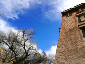 藏区建筑和树木