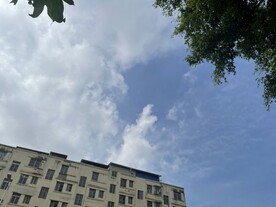 仰视天空
