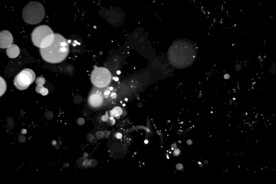 雪花碎片粉尘粒子下落图片素材 