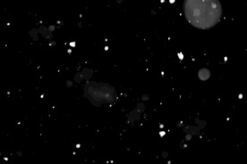 雪花碎片粉尘粒子下落图片素材 