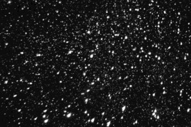 雪花碎片粉尘粒子下落图片素材 