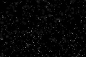 雪花碎片粉尘粒子下落图片素材 