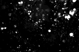 雪花碎片粉尘粒子下落图片素材 