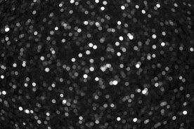 雪花碎片粉尘粒子下落图片素材 