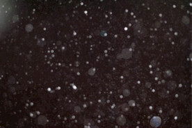 雪花碎片粉尘粒子下落图片素材 