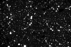 雪花碎片粉尘粒子下落图片素材 