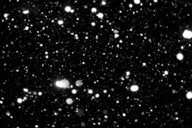 雪花碎片粉尘粒子下落图片素材 