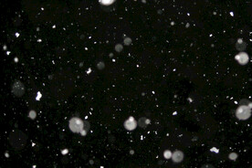 雪花碎片粉尘粒子下落图片素材 