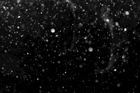 雪花粒子图片