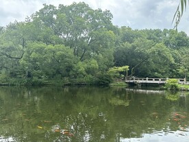 湖面小桥流水风景