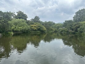 湖面风景