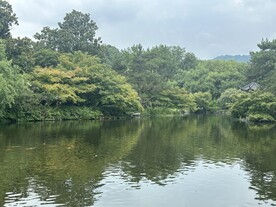 公园湖面风景