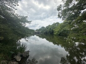 林荫湖面风景