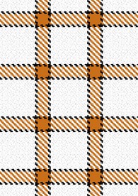 白底橘条斜纹格子