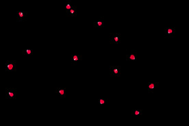 飘落花瓣鲜花漂浮元素图片 