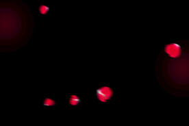 飘落花瓣鲜花漂浮元素图片 