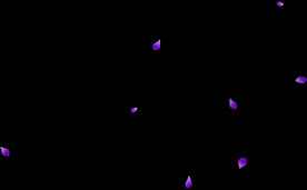 飘落花瓣鲜花漂浮元素图片 