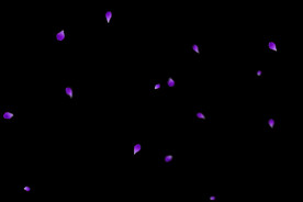 飘落花瓣鲜花漂浮元素图片 