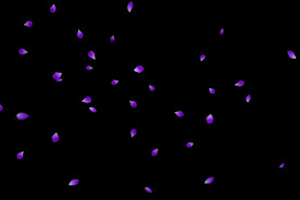 飘落花瓣鲜花漂浮元素图片 