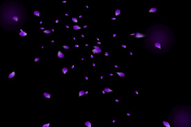 飘落花瓣鲜花漂浮元素图片 