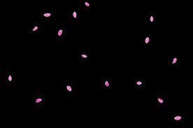 飘落花瓣鲜花漂浮元素图片 