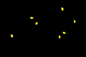 飘落花瓣鲜花漂浮元素图片 