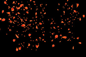 飘落花瓣鲜花漂浮元素元素图片 