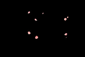 飘落花瓣鲜花漂浮元素元素图片 