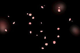 飘落花瓣鲜花漂浮元素元素图片 