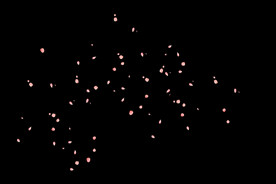 飘落花瓣鲜花漂浮元素元素图片 