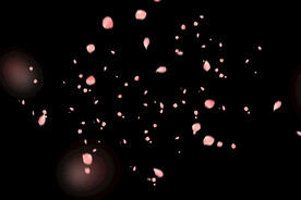 飘落花瓣鲜花漂浮元素元素图片 