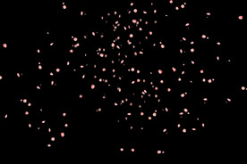 飘落花瓣鲜花漂浮元素图片 