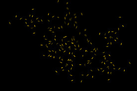 飘落花瓣鲜花漂浮元素元素图片 