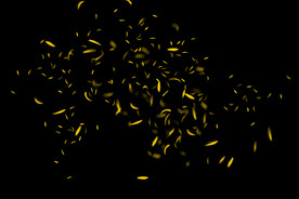 飘落花瓣鲜花漂浮元素元素图片 