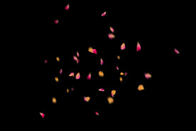 飘落花瓣鲜花漂浮元素元素图片 