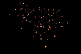 飘落花瓣鲜花漂浮元素元素图片 