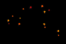 飘落花瓣鲜花漂浮元素元素图片 