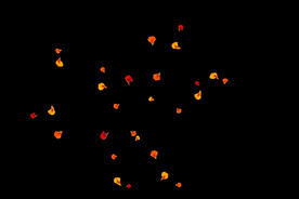 飘落花瓣鲜花漂浮元素元素图片 