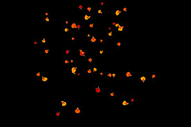 飘落花瓣鲜花漂浮元素元素图片 